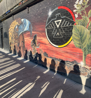 Picture of an Indigenous mural and the shadows of 12 people reflecting onto it.  